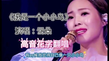 云朵高昂的桑音,仿佛小鸟已飞高,跟原唱比较,差距能过-音乐-背景音乐