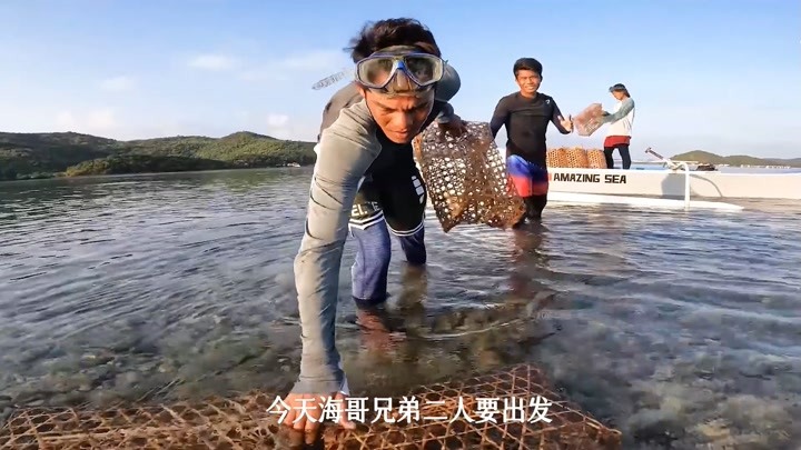 几十个捕鱼笼收获几十万美刀大石斑鱼，海哥兄弟二人这次赚翻了