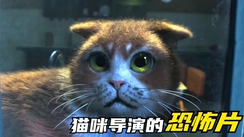 猫咪导演的恐怖片你看过吗?一经发布轻松斩获奥斯卡