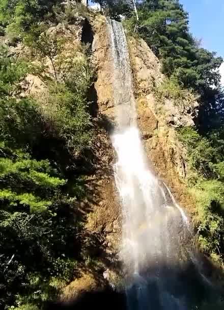 麦积山植物园瀑布图片