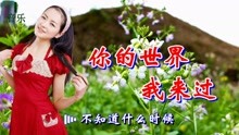 [图]一首情歌《你的世界我来过》歌声深情，节奏欢快，谁听谁喜欢！