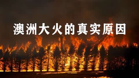 科普:澳洲大火的主要起火原因,为何大火持续4个月仍未被扑灭?