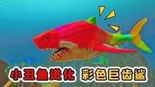 海底大猎杀06：小丑鱼跃龙门，变成了彩色巨齿鲨