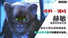 《哈利波特》冷知识：赫敏的猫脸是化妆，演员不想出演遭亲人威胁