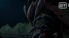 超级巨大蜈蚣王专吃孩童，相术师让它灰飞烟灭。