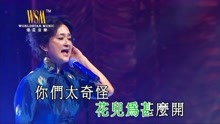 [图]华娃《疯狂世界》情牵金曲百乐门演唱会