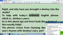 苏凡俚语--donkey‘s years