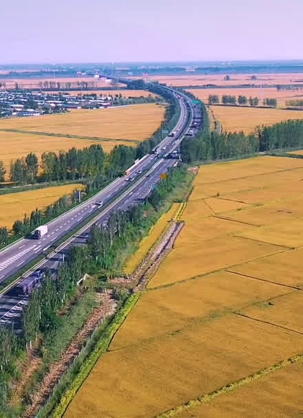 辽宁最美高速,稻田里的公路