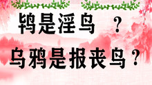 [图]说文解字：有多少人分不清“老鸨”和“老鸹”的区别？收藏