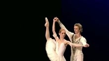 芭蕾舞 Ballet 男芭蕾，芭蕾王子