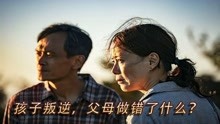 中国式家庭惨剧的根源，千万家庭的影子，《阳光普照》