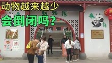 [图]实拍宜宾翠屏山动物园，门票30元都有些啥动物，这环境真需要改善