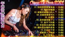 [图]2021夜店舞曲 重低音【最强】最火歌曲dj - 全中文DJ舞曲串烧