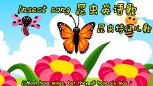 昆虫英语儿歌 辨认昆虫儿歌 Insect Song