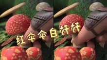 [图]魔性神曲《红伞伞白杆杆》，听完好上头，你被这首歌洗脑了吗