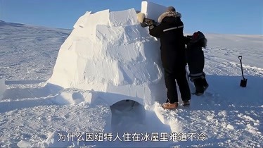 為什麼因紐特人住在冰屋裡,難道不冷-生活-完整版視頻在線觀看-愛奇藝