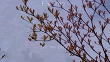 Olivia Ong的《Fly Me To The Moon》，原来还能这样唱？