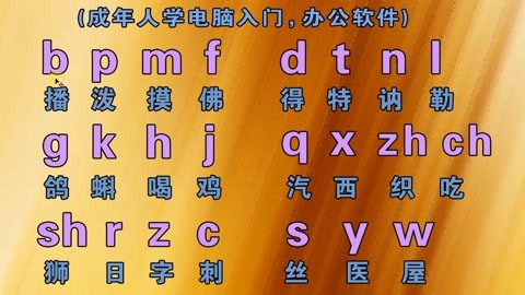 成人自學拼音打字,看這裡零基礎學習拼音拼讀教學視頻,打字不難