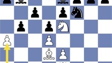 CHESS國际象棋，高低杀羊2021_11_16_15_46_IMG_9142