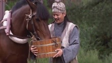 龙门镖局：当吃惯青草的马儿吃了韩国泡菜后，会发生什么呢