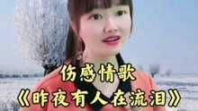 [图]《昨夜有人在流泪》