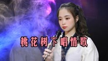 [图]一首情歌《桃花树下唱情歌》歌声醉人心扉，单身的人听了都想恋爱