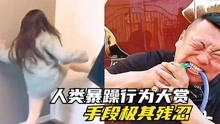 [图]盘点那些人类暴躁行为