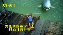 [图]男孩拜鲨鱼为师，只为学功夫打败旺财！