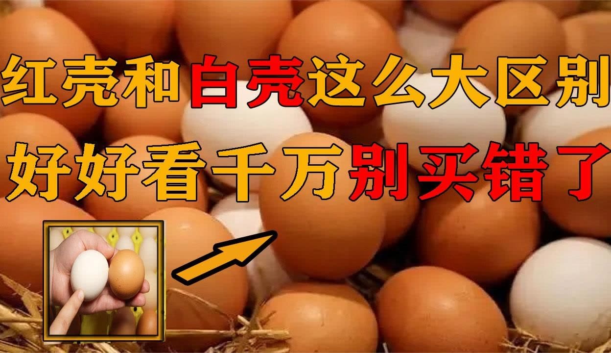 【千知 百态】红皮鸡蛋和白皮鸡蛋差距这么大?