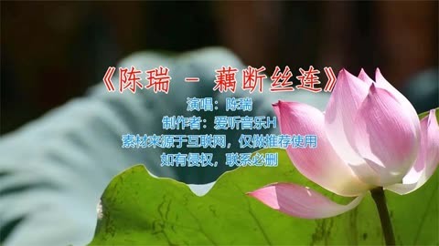 陈瑞《藕断丝连》伤感情歌 唱出多少痴情人往事!