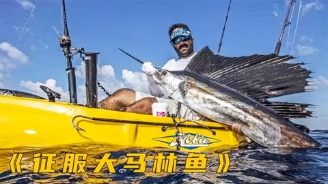 海钓2米大马林鱼,疯狂洗鳃视觉盛宴