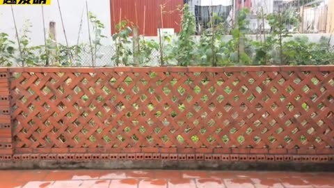 用砖砌的菜园围栏图片