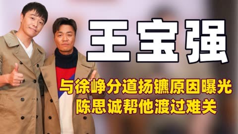 陈思诚借给王宝强300万图片