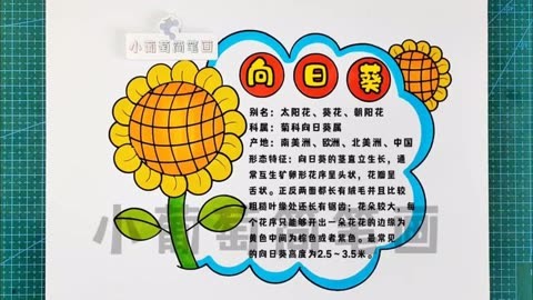 植物名片植物介绍卡植物花卡植物名片之向日葵植物名片制作