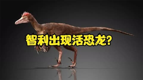 活恐龙目击事件图片