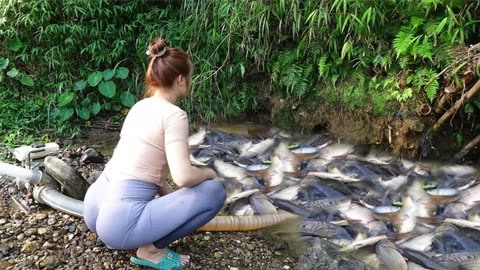 越南美女捕鱼图片