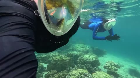 三亚潜水惊魂!游客海底被摘面罩强卖拍照