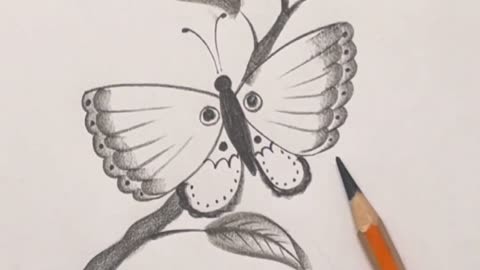 简单学画蝴蝶