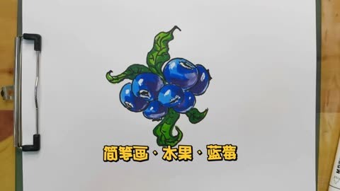 简笔画·水果·蓝莓