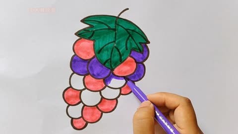 葡萄怎么画简笔画步骤图片