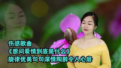 _翻譯百度_翻譯英漢互譯