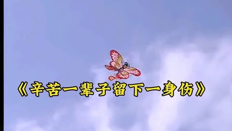 伤感《辛苦一辈子留下一身伤》