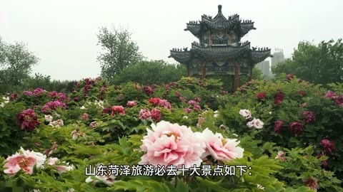 山东菏泽旅游必去十大景点有哪些?有水浒好汉城,也有天香公园