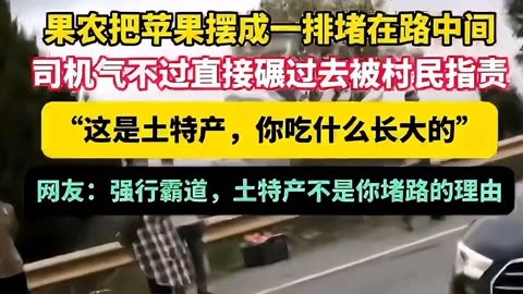 昭通苹果为何成了路障?司机怒踩油门背后的思考