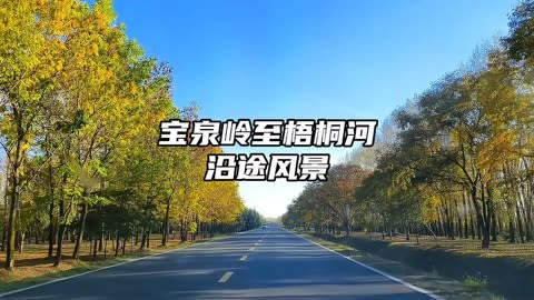 鹤岗梧桐机场图片